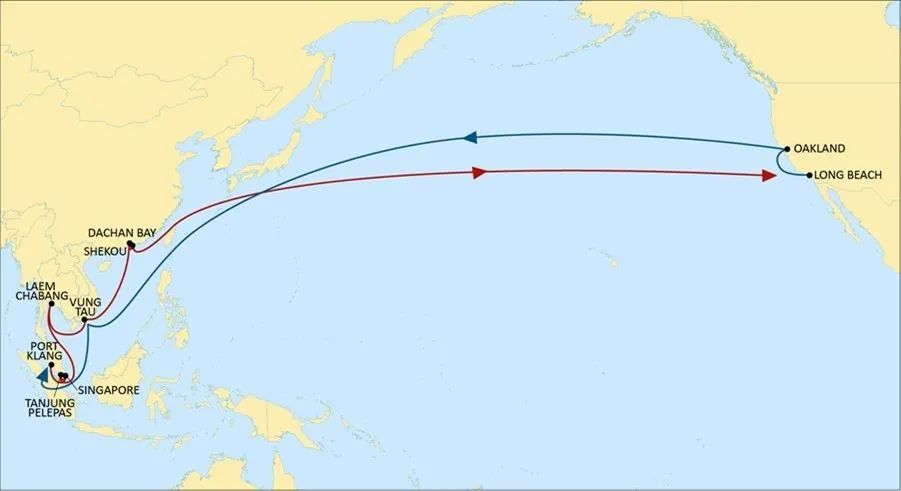 航线快讯！MSC推出一条全新美东直航服务！预计7月21日首航