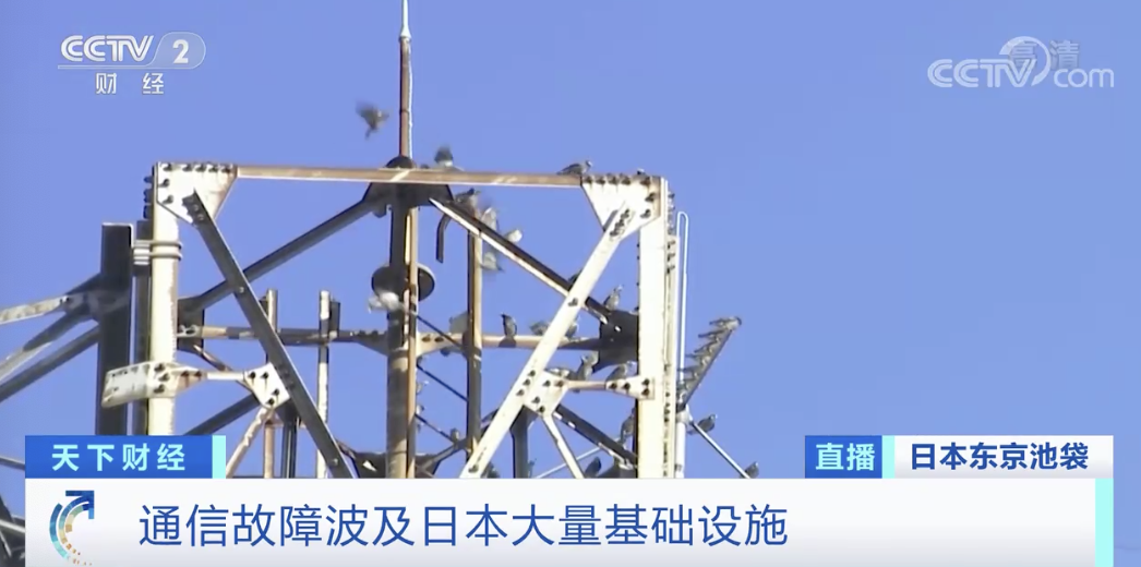 突发！该国发生大面积断网：报警电话打不通、不能刷卡、不能取钱…数百万人受影响